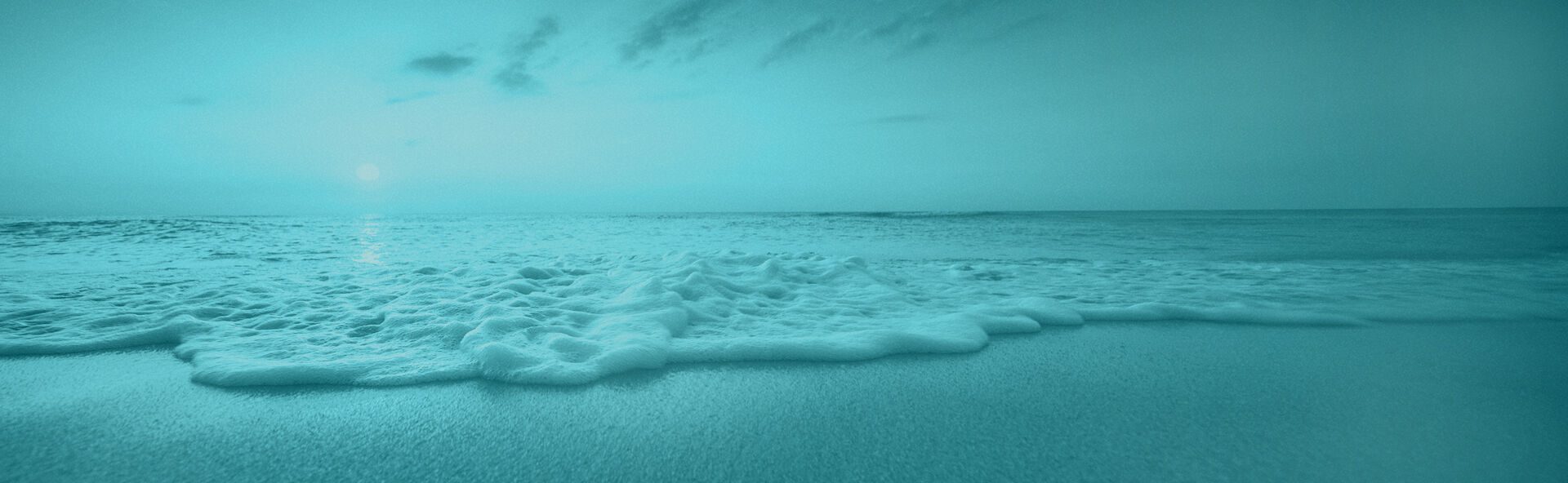 Anderson McQueen Funeral Home Funeral & Cremation Services Near St. Petersburg, Florida